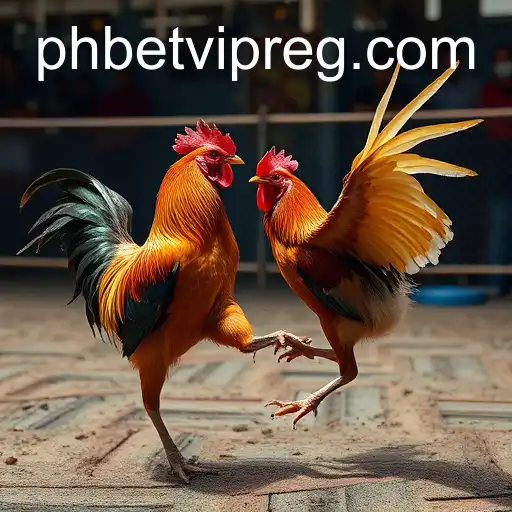 Exploring the Digital Arena of Online Sabong with Phbet VIP Registration